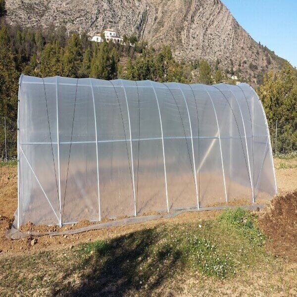 I10 greenhouse of 4m x 10m