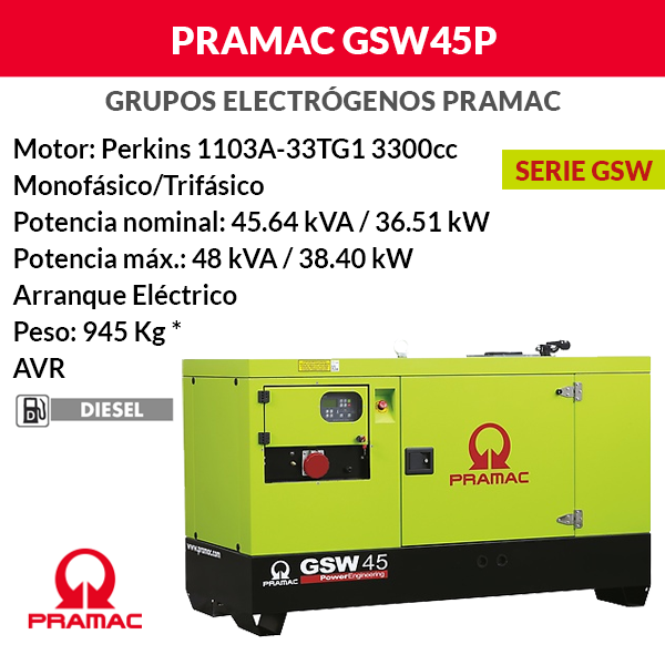 Schalldichter Pramac GSW45P Generator