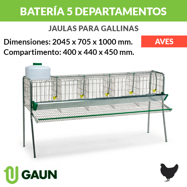 Battery for hens 5 departments