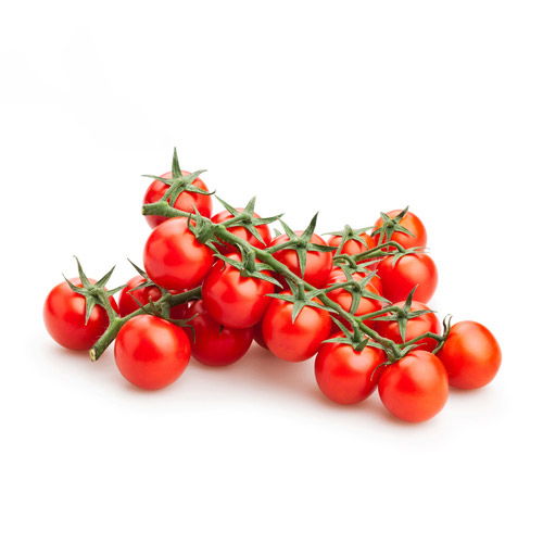 Plantel de Tomate cherry Redondo rojo