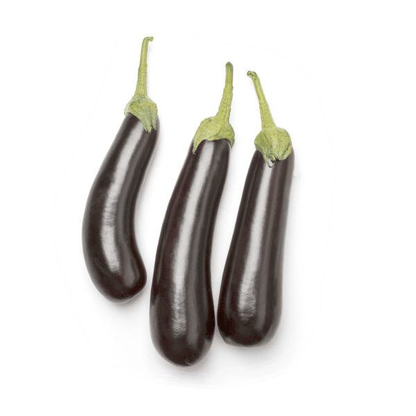Long black aubergine squad