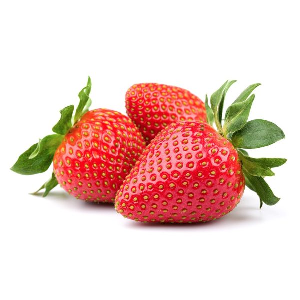 Erdbeerpflanze - Erdbeere