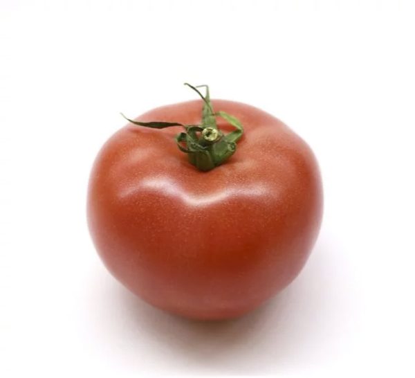 Bodar Hybrid Tomato Squad (pele redonda e fina)
