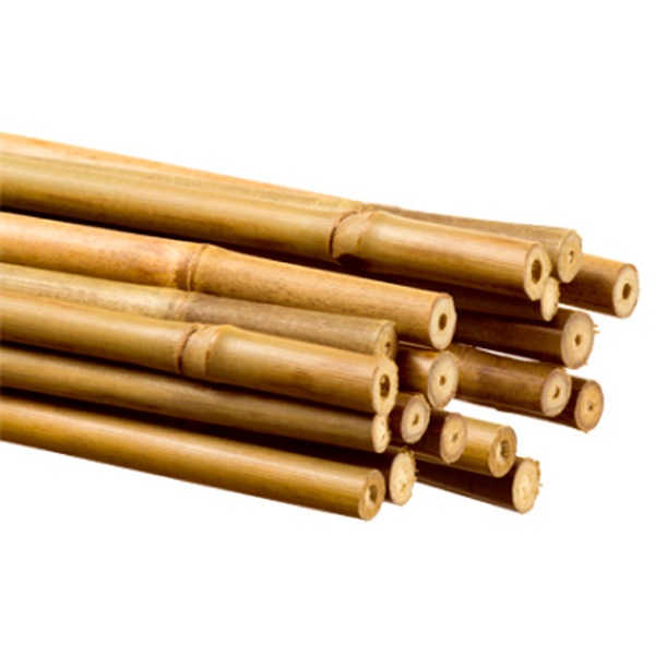 Bamboo stakes 60-180 cm tall FAURA
