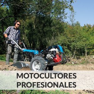 Maquinaria Agrícola motocultor gasolina de segunda mano y ocasión