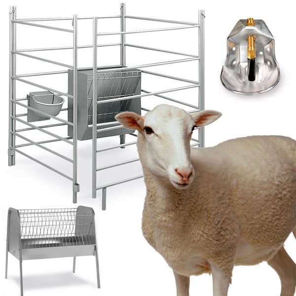 Accessori per pecore