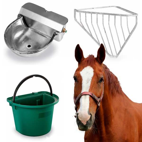 Accessoires pour chevaux
