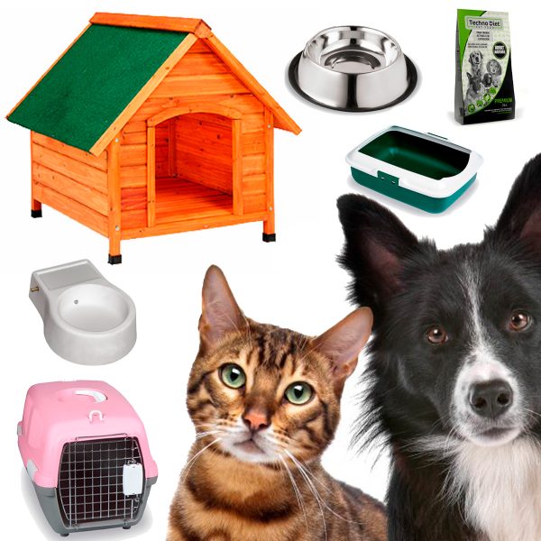 Accessoires pour chiens et chats